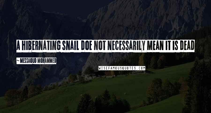 Messaoud Mohammed Quotes: A hibernating snail doe not necessarily mean it is dead