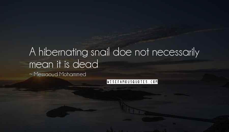 Messaoud Mohammed Quotes: A hibernating snail doe not necessarily mean it is dead