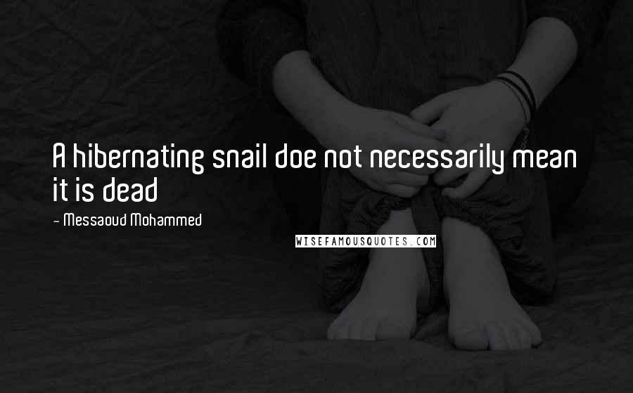 Messaoud Mohammed Quotes: A hibernating snail doe not necessarily mean it is dead