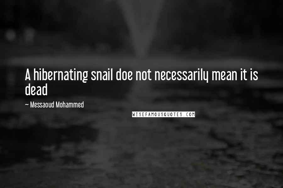 Messaoud Mohammed Quotes: A hibernating snail doe not necessarily mean it is dead