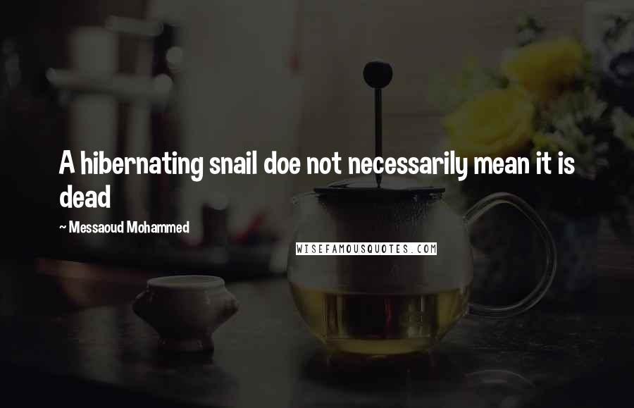 Messaoud Mohammed Quotes: A hibernating snail doe not necessarily mean it is dead