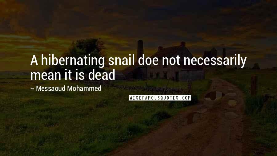 Messaoud Mohammed Quotes: A hibernating snail doe not necessarily mean it is dead