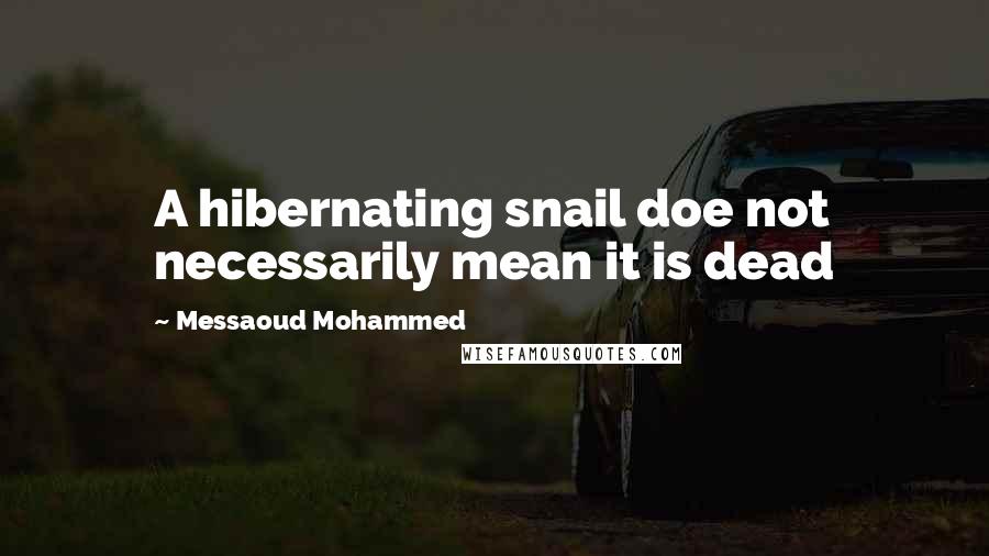 Messaoud Mohammed Quotes: A hibernating snail doe not necessarily mean it is dead