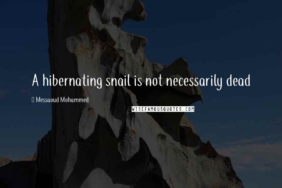 Messaoud Mohammed Quotes: A hibernating snail is not necessarily dead