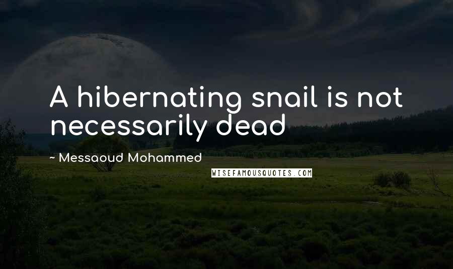 Messaoud Mohammed Quotes: A hibernating snail is not necessarily dead