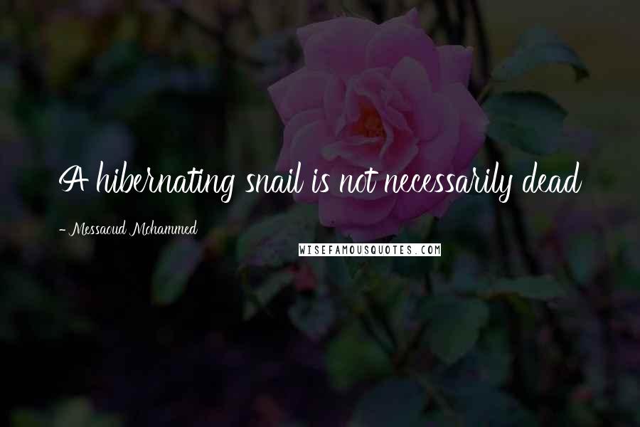 Messaoud Mohammed Quotes: A hibernating snail is not necessarily dead