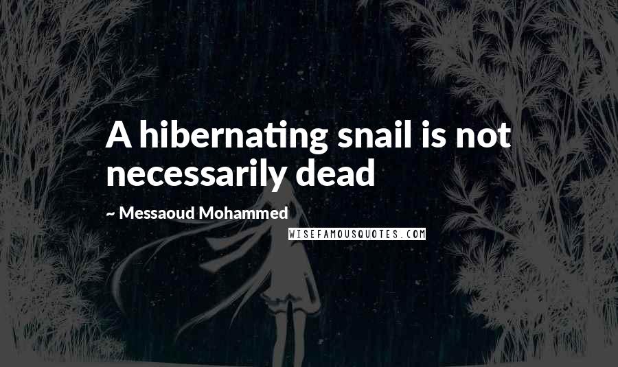 Messaoud Mohammed Quotes: A hibernating snail is not necessarily dead