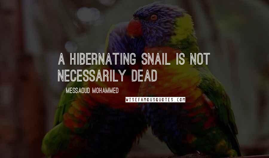 Messaoud Mohammed Quotes: A hibernating snail is not necessarily dead