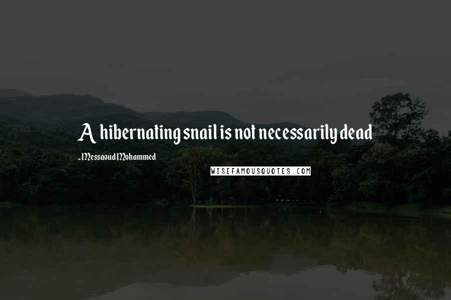 Messaoud Mohammed Quotes: A hibernating snail is not necessarily dead