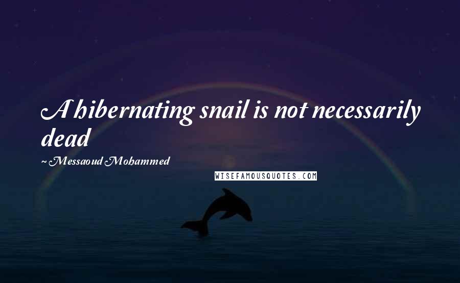 Messaoud Mohammed Quotes: A hibernating snail is not necessarily dead