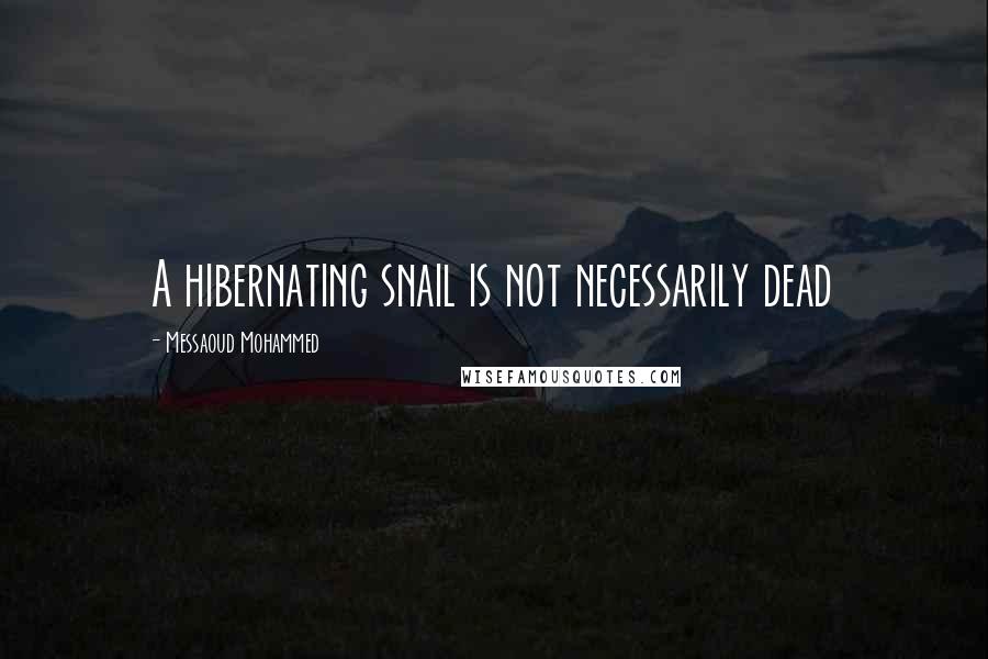 Messaoud Mohammed Quotes: A hibernating snail is not necessarily dead