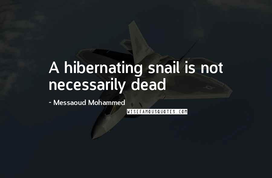 Messaoud Mohammed Quotes: A hibernating snail is not necessarily dead