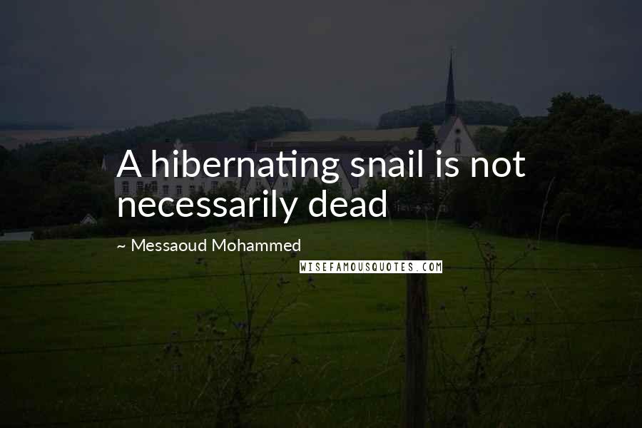 Messaoud Mohammed Quotes: A hibernating snail is not necessarily dead