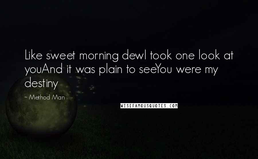 Method Man Quotes: Like sweet morning dewI took one look at youAnd it was plain to seeYou were my destiny