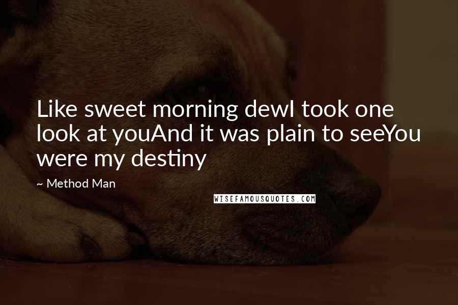Method Man Quotes: Like sweet morning dewI took one look at youAnd it was plain to seeYou were my destiny