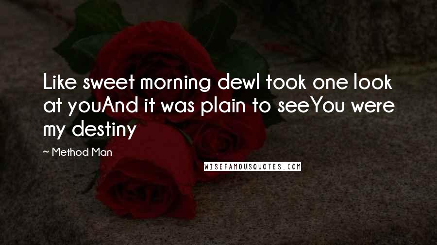 Method Man Quotes: Like sweet morning dewI took one look at youAnd it was plain to seeYou were my destiny
