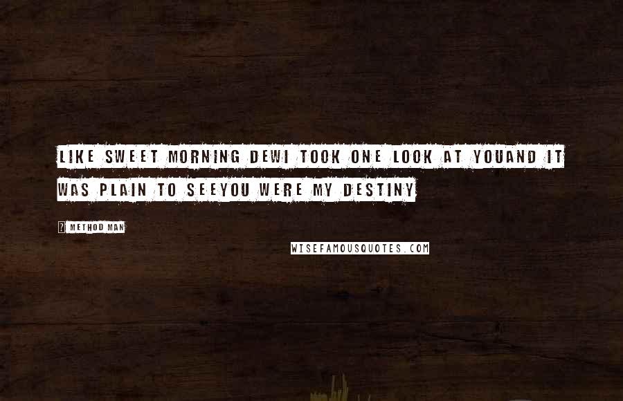 Method Man Quotes: Like sweet morning dewI took one look at youAnd it was plain to seeYou were my destiny