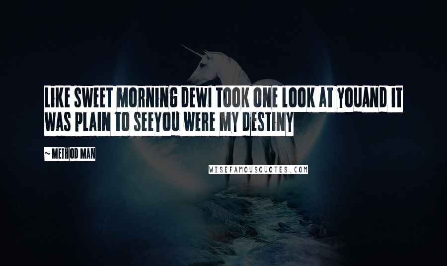 Method Man Quotes: Like sweet morning dewI took one look at youAnd it was plain to seeYou were my destiny