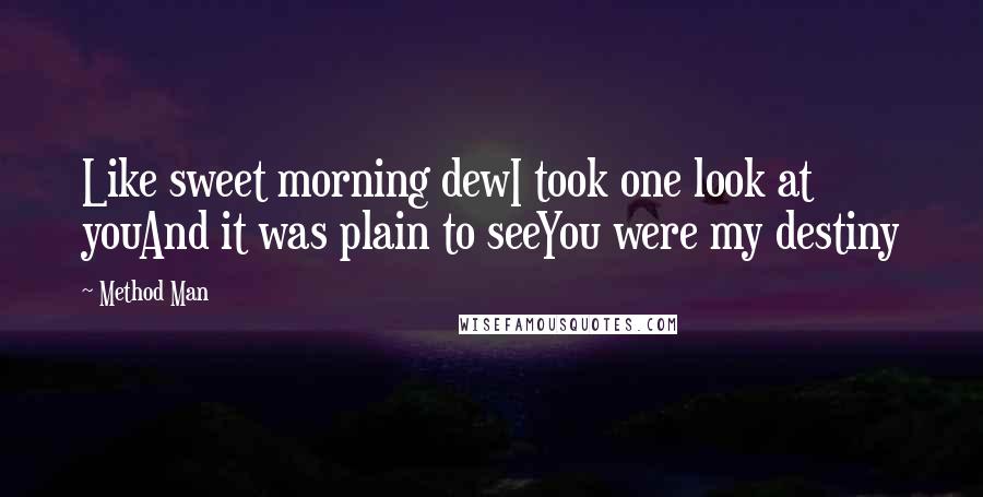 Method Man Quotes: Like sweet morning dewI took one look at youAnd it was plain to seeYou were my destiny