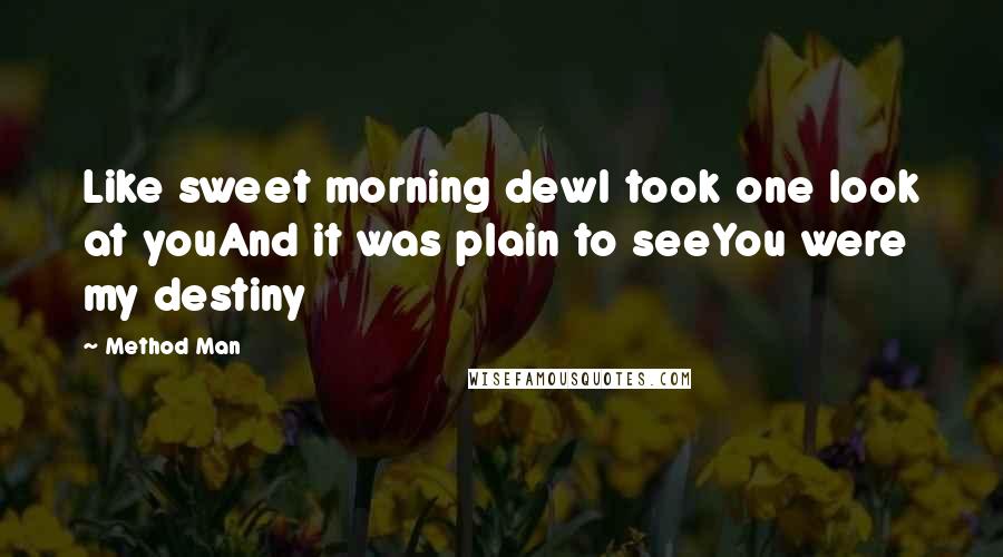 Method Man Quotes: Like sweet morning dewI took one look at youAnd it was plain to seeYou were my destiny
