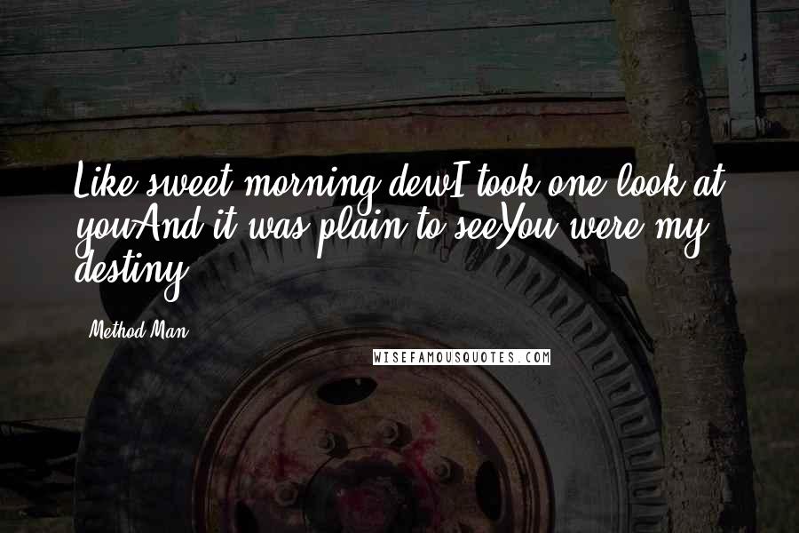 Method Man Quotes: Like sweet morning dewI took one look at youAnd it was plain to seeYou were my destiny