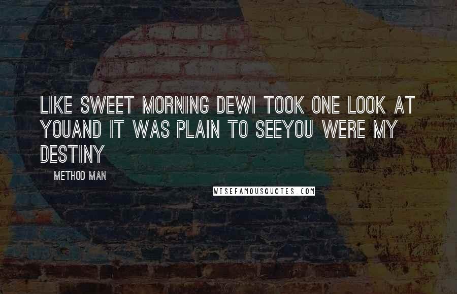 Method Man Quotes: Like sweet morning dewI took one look at youAnd it was plain to seeYou were my destiny