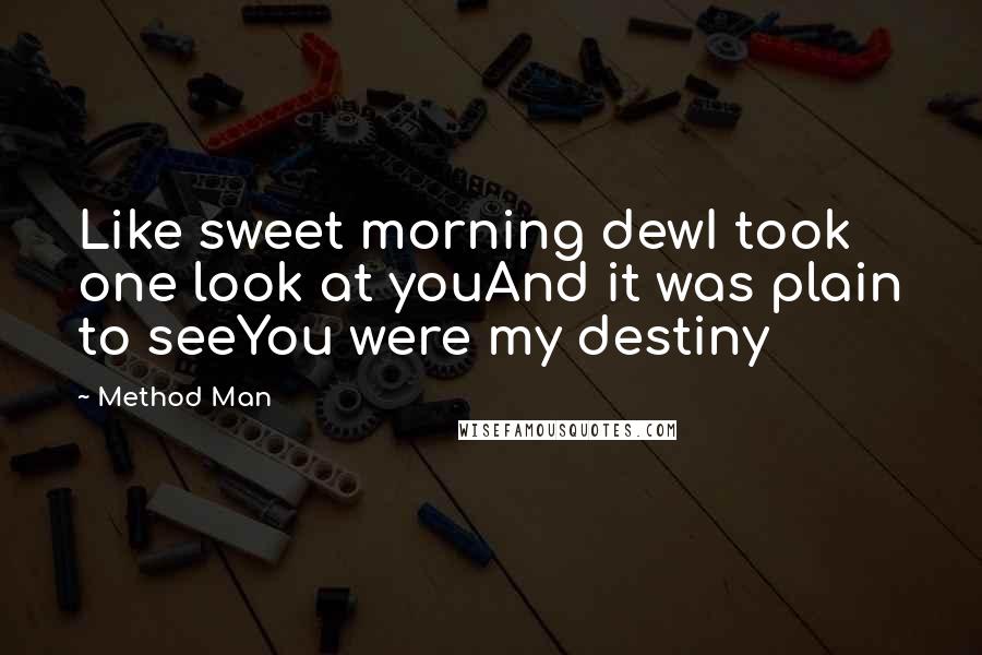 Method Man Quotes: Like sweet morning dewI took one look at youAnd it was plain to seeYou were my destiny