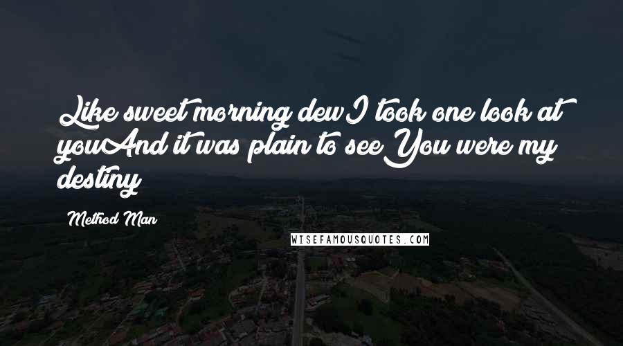 Method Man Quotes: Like sweet morning dewI took one look at youAnd it was plain to seeYou were my destiny