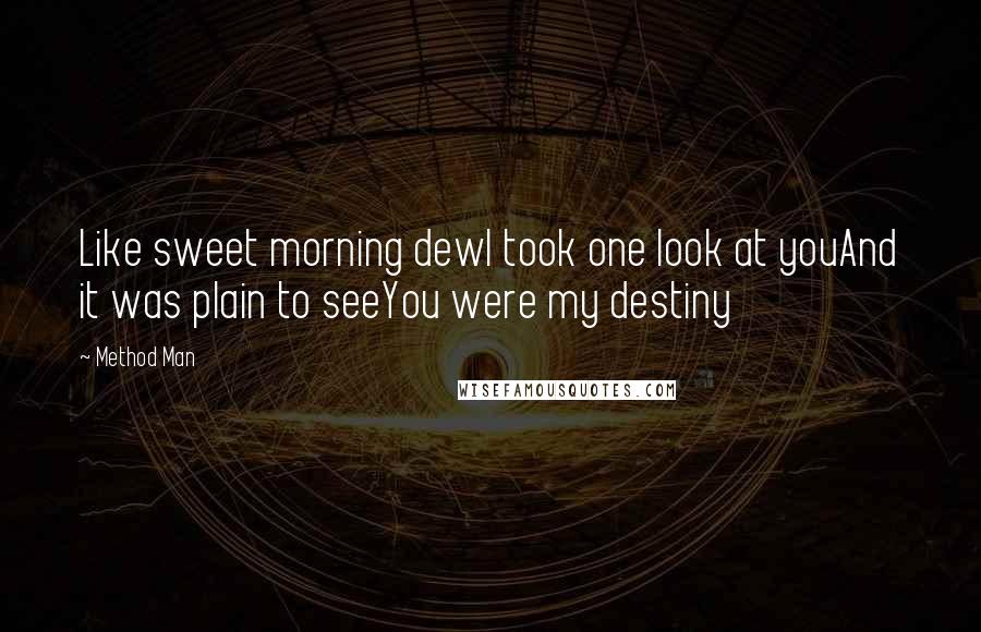 Method Man Quotes: Like sweet morning dewI took one look at youAnd it was plain to seeYou were my destiny