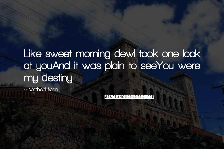 Method Man Quotes: Like sweet morning dewI took one look at youAnd it was plain to seeYou were my destiny