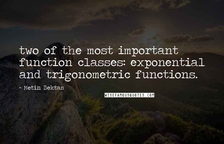 Metin Bektas Quotes: two of the most important function classes: exponential and trigonometric functions.