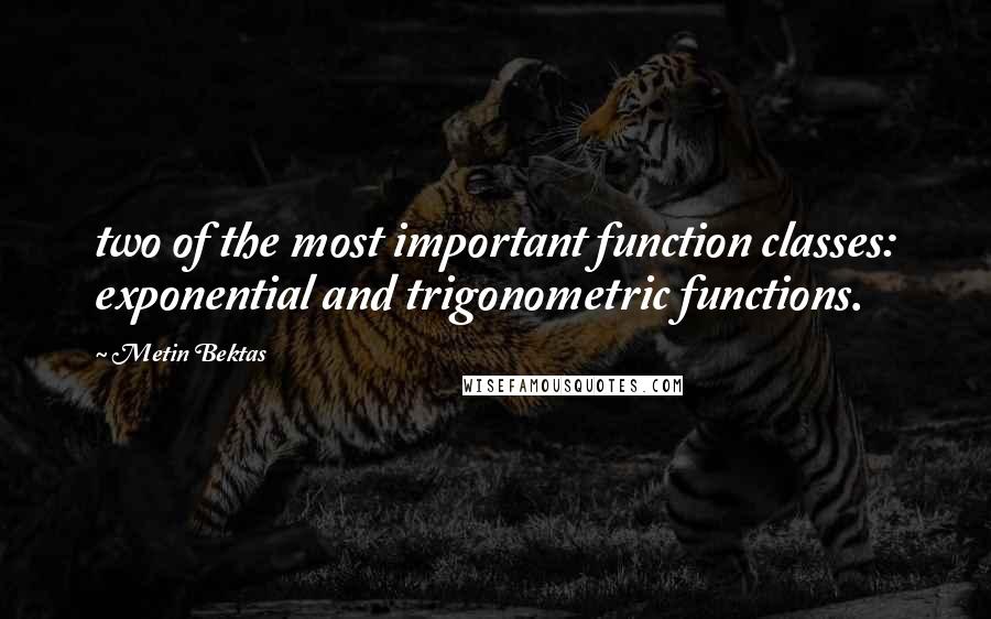 Metin Bektas Quotes: two of the most important function classes: exponential and trigonometric functions.