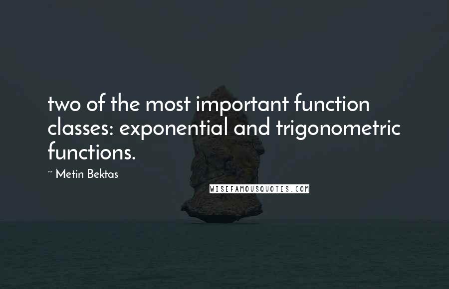 Metin Bektas Quotes: two of the most important function classes: exponential and trigonometric functions.