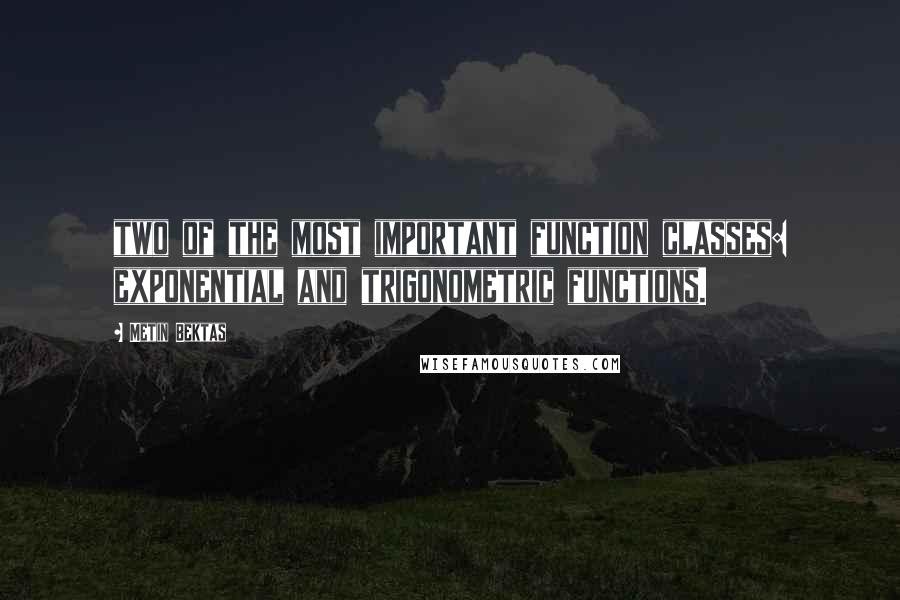 Metin Bektas Quotes: two of the most important function classes: exponential and trigonometric functions.