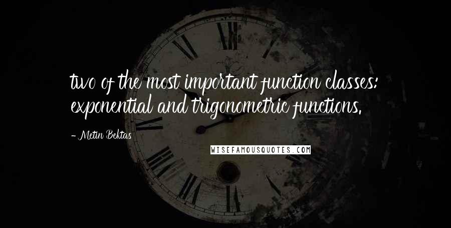 Metin Bektas Quotes: two of the most important function classes: exponential and trigonometric functions.