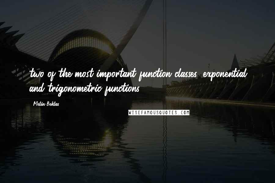 Metin Bektas Quotes: two of the most important function classes: exponential and trigonometric functions.