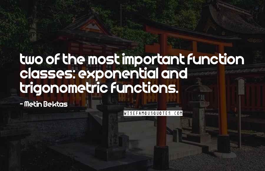 Metin Bektas Quotes: two of the most important function classes: exponential and trigonometric functions.