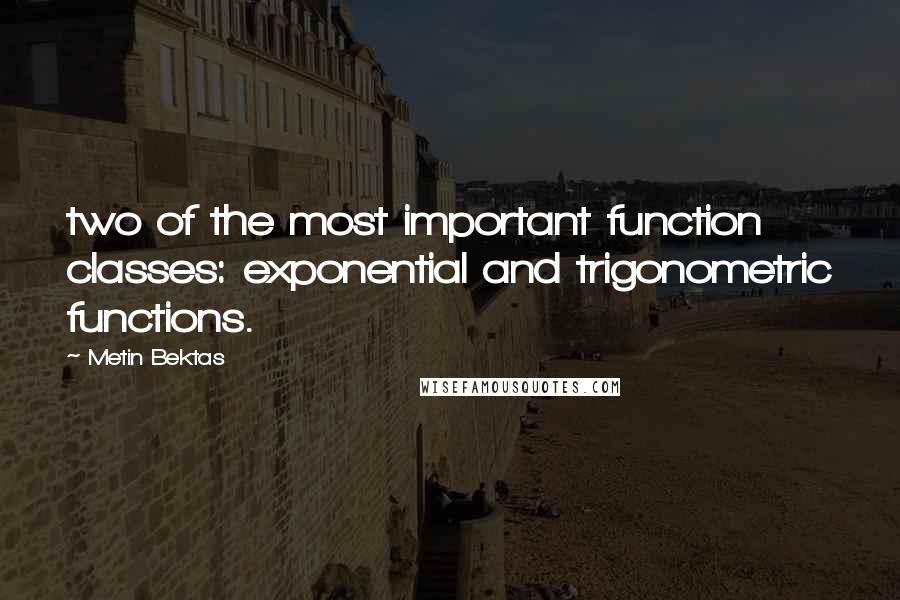 Metin Bektas Quotes: two of the most important function classes: exponential and trigonometric functions.