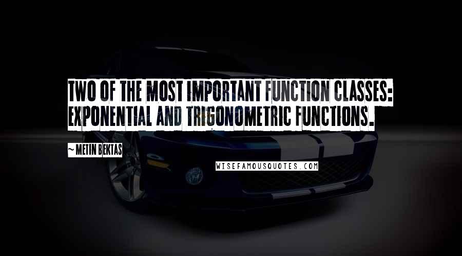 Metin Bektas Quotes: two of the most important function classes: exponential and trigonometric functions.