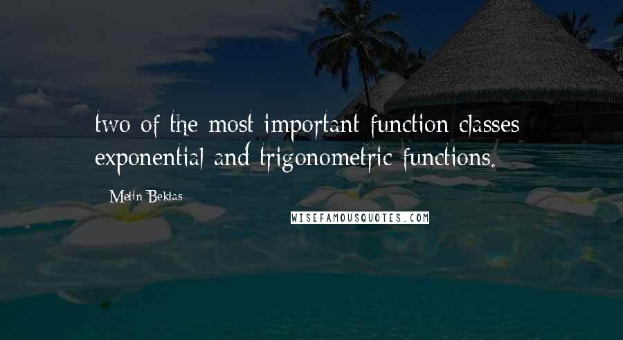 Metin Bektas Quotes: two of the most important function classes: exponential and trigonometric functions.