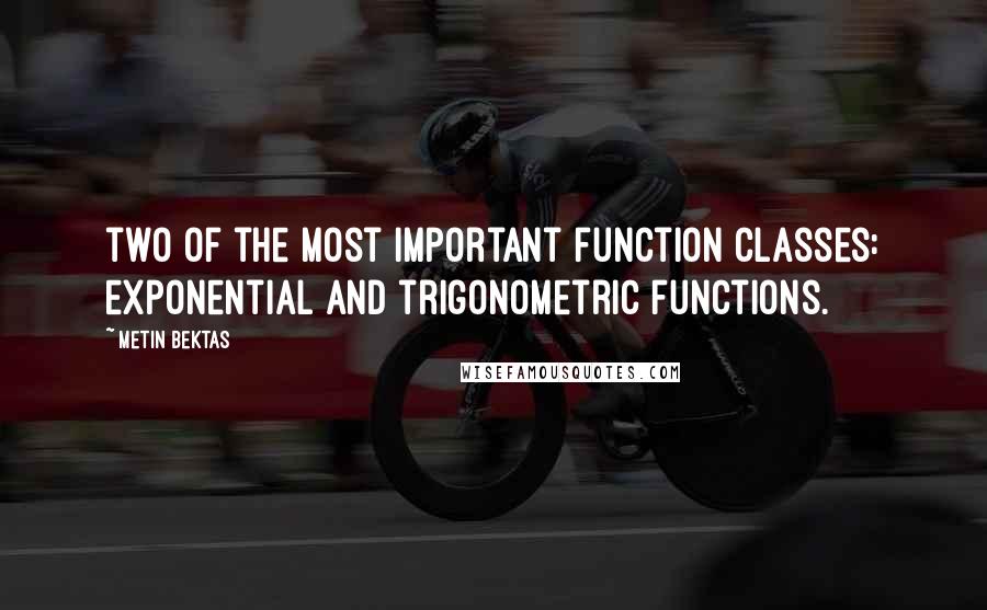 Metin Bektas Quotes: two of the most important function classes: exponential and trigonometric functions.