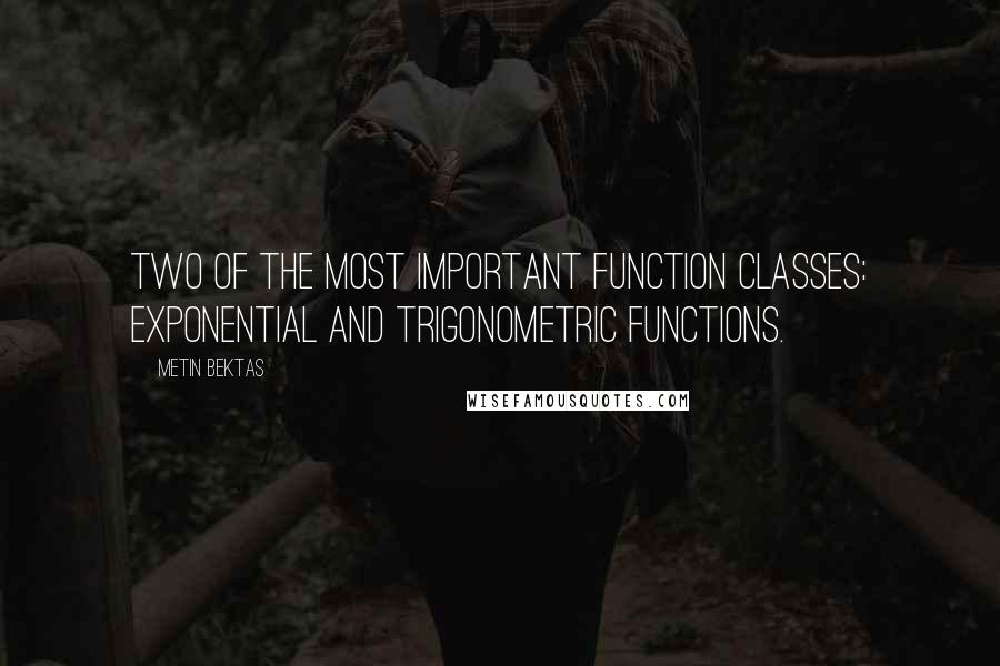 Metin Bektas Quotes: two of the most important function classes: exponential and trigonometric functions.