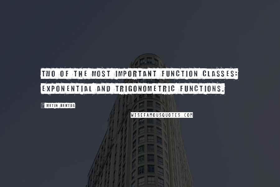 Metin Bektas Quotes: two of the most important function classes: exponential and trigonometric functions.