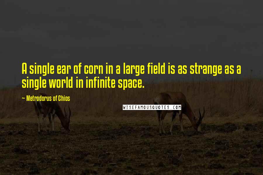 Metrodorus Of Chios Quotes: A single ear of corn in a large field is as strange as a single world in infinite space.