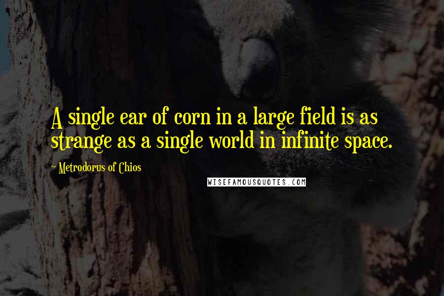 Metrodorus Of Chios Quotes: A single ear of corn in a large field is as strange as a single world in infinite space.