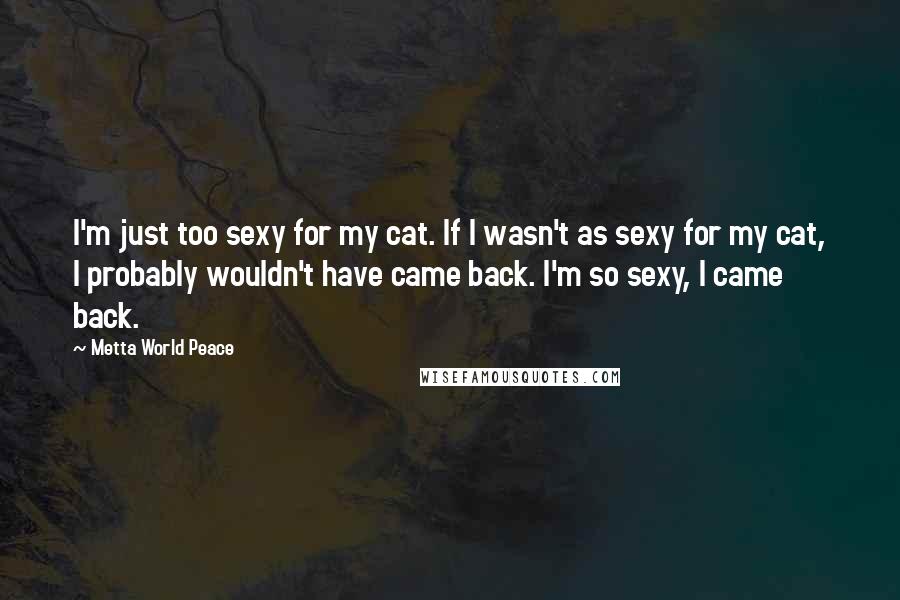 Metta World Peace Quotes: I'm just too sexy for my cat. If I wasn't as sexy for my cat, I probably wouldn't have came back. I'm so sexy, I came back.