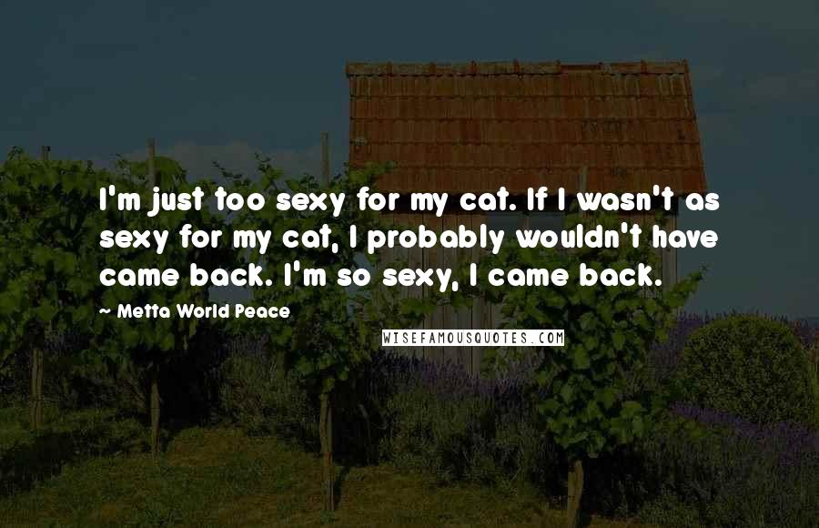 Metta World Peace Quotes: I'm just too sexy for my cat. If I wasn't as sexy for my cat, I probably wouldn't have came back. I'm so sexy, I came back.