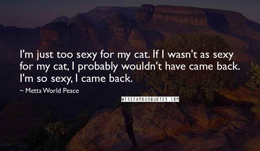 Metta World Peace Quotes: I'm just too sexy for my cat. If I wasn't as sexy for my cat, I probably wouldn't have came back. I'm so sexy, I came back.