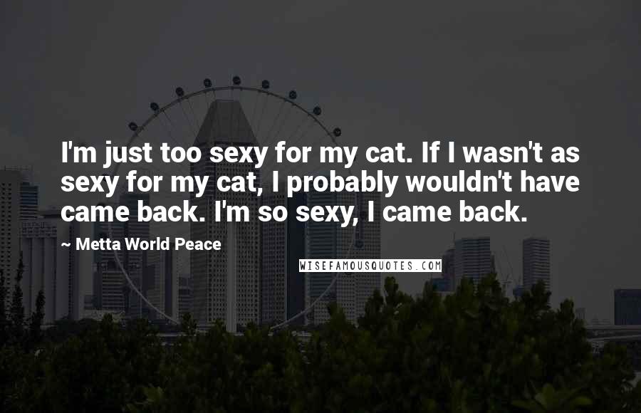 Metta World Peace Quotes: I'm just too sexy for my cat. If I wasn't as sexy for my cat, I probably wouldn't have came back. I'm so sexy, I came back.