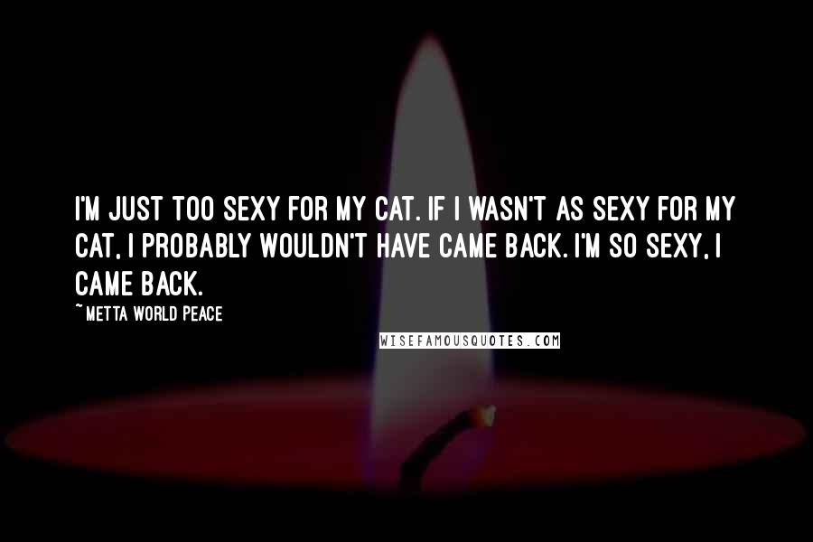 Metta World Peace Quotes: I'm just too sexy for my cat. If I wasn't as sexy for my cat, I probably wouldn't have came back. I'm so sexy, I came back.